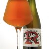 Cerveza Chilena Zigurat Rusty Cage  375cc