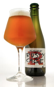 Cerveza Chilena Zigurat Rusty Cage  375cc